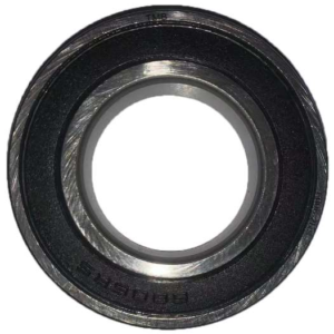 bearing 6004