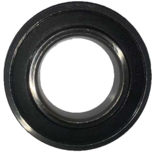 bearing 6007 2rs