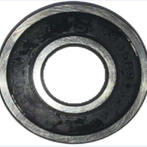bearing 6305 2rs