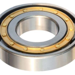 bearing nj2207e
