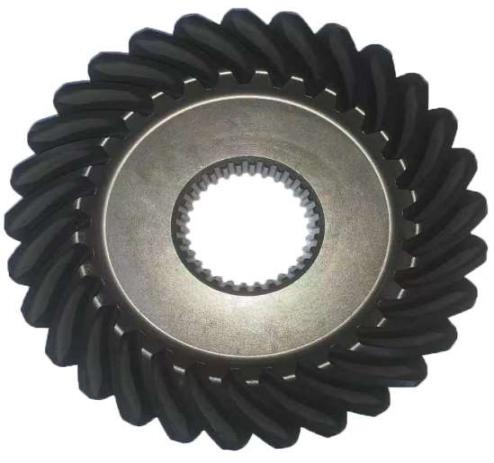 Driven gigi bevel (W2.5-02A-01-17-10)