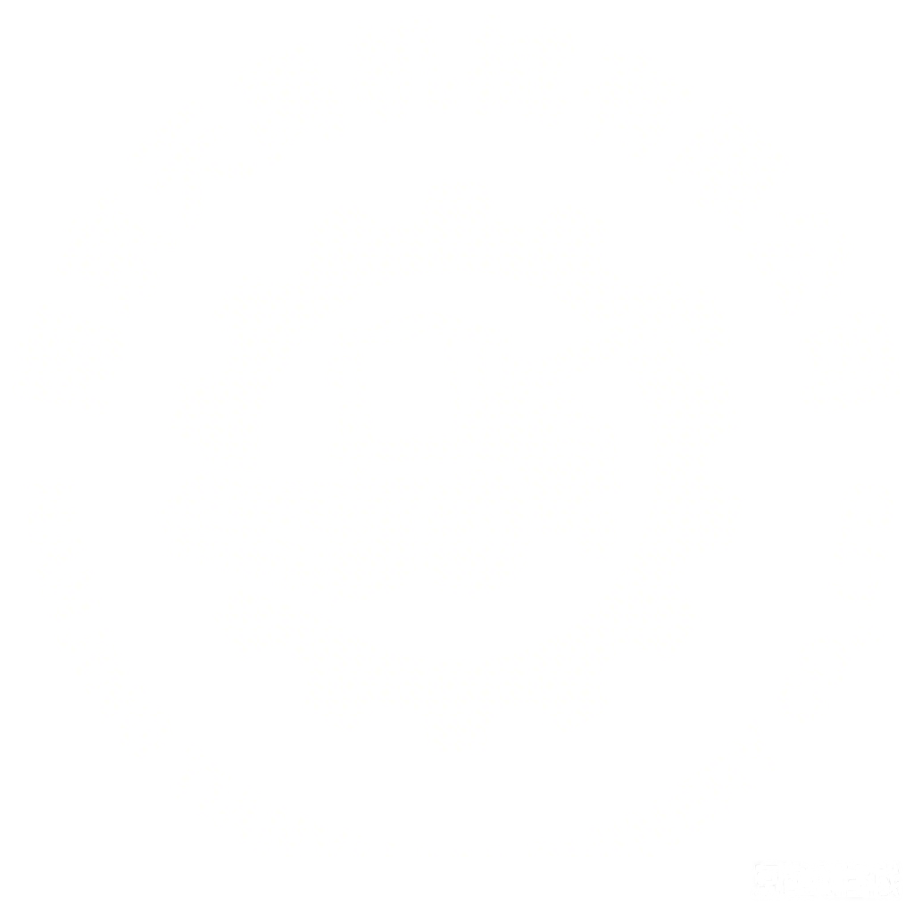no logo tianyu logo