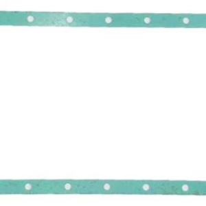 oil pan gasket n485q 11001